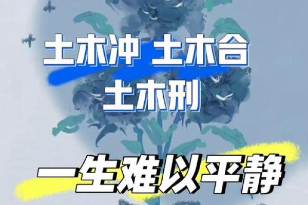 看命盘的奥秘：解锁人生的无限可能与机遇