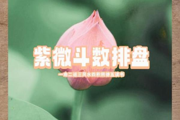 农历二月初四命格解析：探寻命运的奥秘与人生的方向