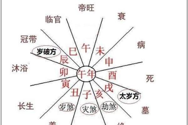 牛进食的命理解析：男孩性格与命运的深层次联系