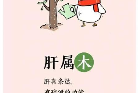 木命配什么命最好？探讨五行相生的和谐之道