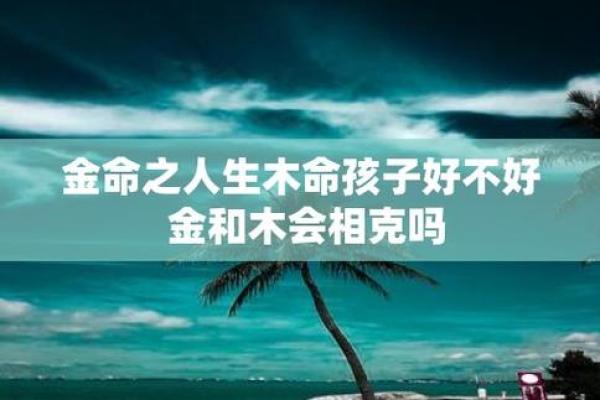 木命金命的职业选择与生涯发展探索