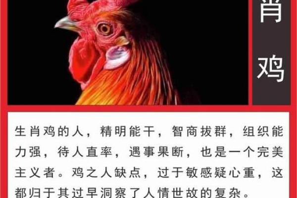 《九三年属鸡之人，命运之探》