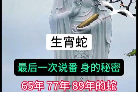 六五年属蛇的命运与性格解读：知晓你的命，活得更加从容自信！