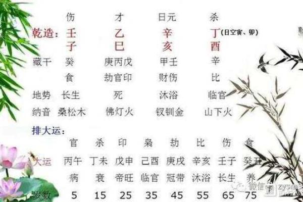 揭秘丁酉月柱：男命的生肖秘密与命理分析