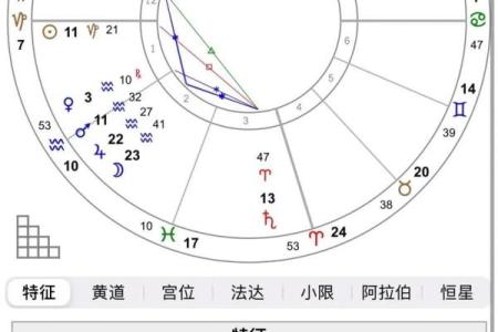 命主与命格的区别：揭示命理背后的秘密与智慧