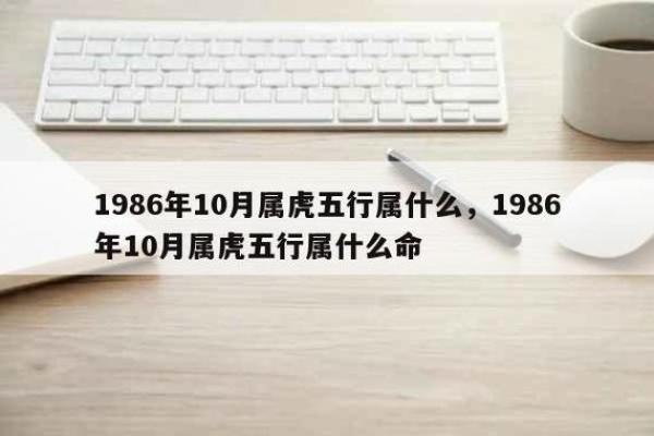 2024年鼠命五行缺什么？探讨五行与命运的奇妙关系！