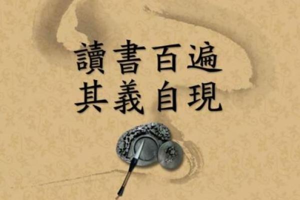卢气卢命：闽南话中的智慧与哲理探讨