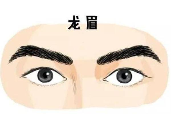 龙命理：探寻适合龙命之人的命理密码与人生方向