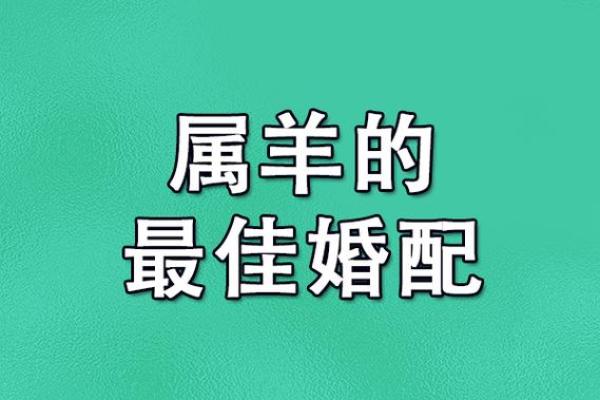 路边土命与属相婚配：寻觅和谐幸福的秘钥