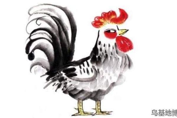 六九年属鸡的五行解析：探索命运的奥秘与人生成就