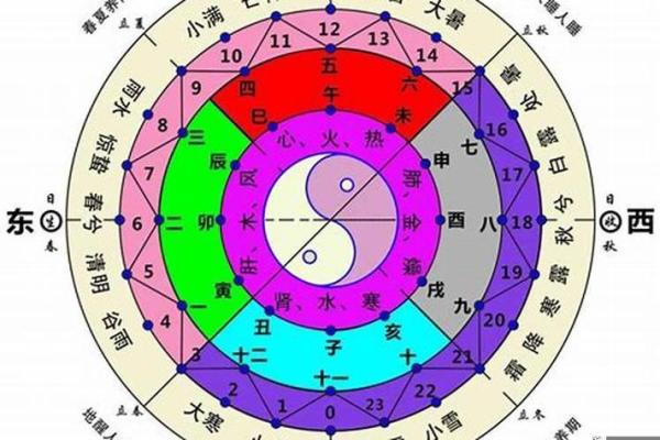 炉中火命与木命的和谐共生关系解析