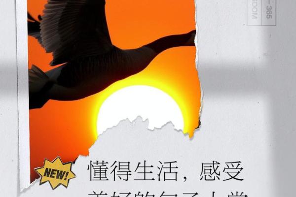 流连忘返的意义与心理探究：从生活的每个瞬间感受美好