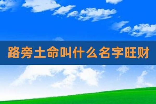 路旁土的命运：它的神奇用途和价值探秘