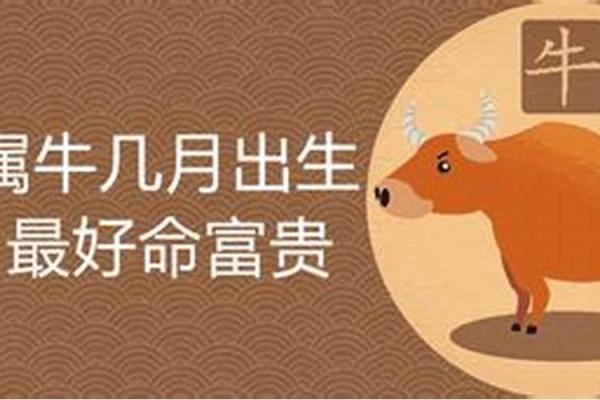 路旁土命女命解析：性格特征与人生运势的深度理解