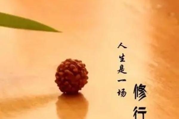 揭秘命带破率：对人生影响与解读新视角