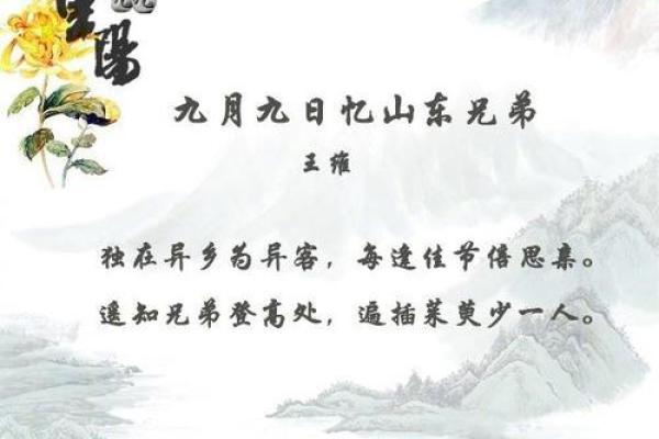 九月初九的命运密码：揭示出生于重阳节的特别之处