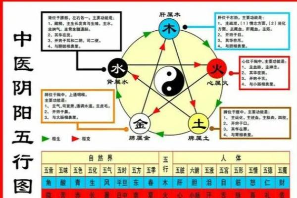 木命人与哪些五行命相合婚最佳？