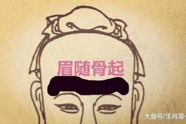 解读“没有富贵命”：你我都能掌握的命运真相