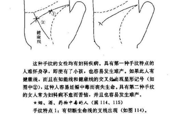 九四年出生的命理解读与人生方向探寻