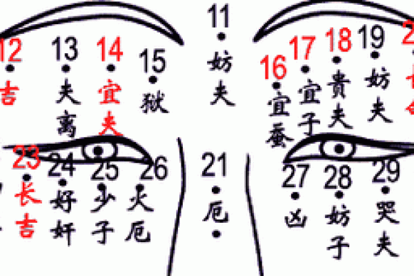 男人三两九钱的命运解析：那份独特的男性魅力与生命轨迹