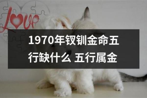 路旁土命与金命的神奇搭配：如何实现命理平衡与和谐