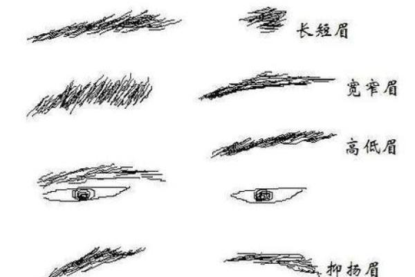 揭秘男人眉型与幸福婚姻的神秘联系，找到你的理想伴侣！