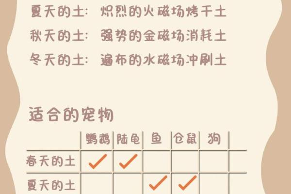 路旁土命与五行的协合之道：遇见最合适的命理伙伴