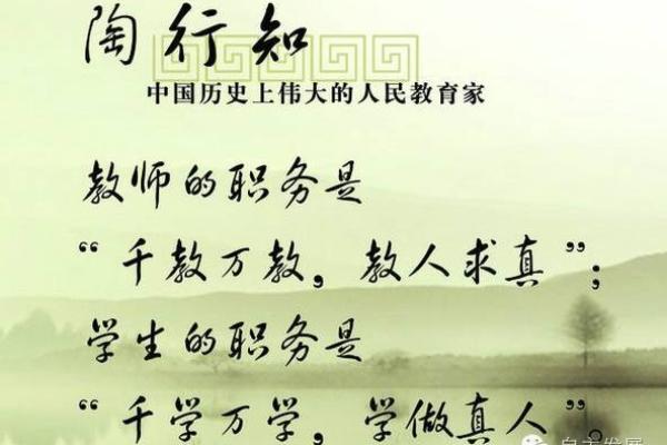 男孩三两二钱的命运解析：命数背后的故事与启示