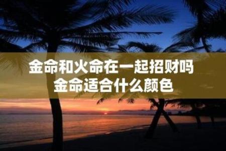 木命人最适合的颜色选取与搭配技巧解读