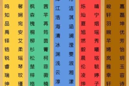 木命缺土，金饰助运，打造你的命理平衡之路！