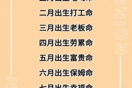 老板的命、打工的命，还有什么命？让我们一起探讨命运的多元意义！