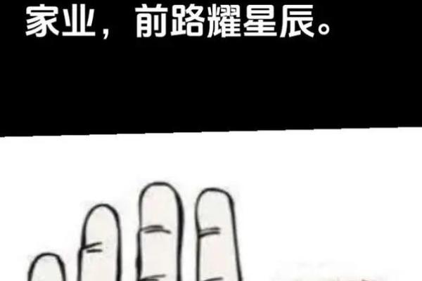 看手相的秘密：如何通过掌纹解读你的命运和个性