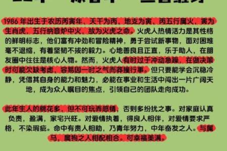 炉中火命人适合从事哪些行业？探索个人职场发展方向
