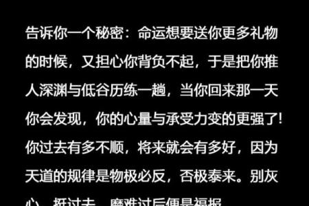 命运与个性：揭秘那些命不错的人的秘密