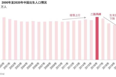 母婴行业的崛起：适合用心呵护的命人之道