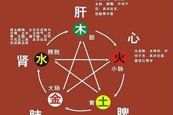 林中火命的命配与结合，探寻命理中的和谐之道
