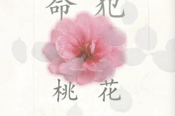 揭开木猴男命的神秘面纱：性格特征与命理分析