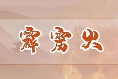林中火命的命配与结合，探寻命理中的和谐之道