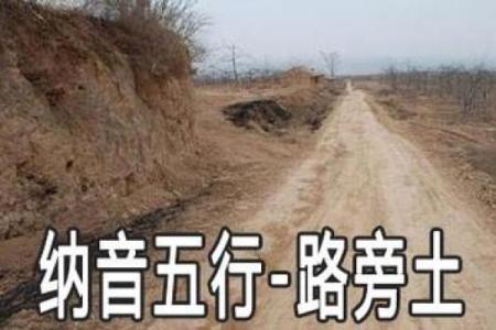 路旁土命的秘密：与金木水火土的交融之道