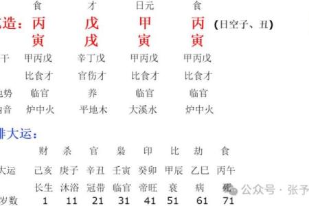 炉中火命与五行命理的完美搭配探讨