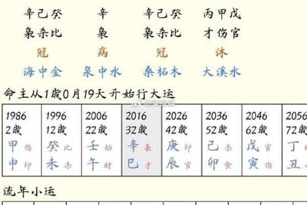 男命八字中伤官多的深层含义与启示