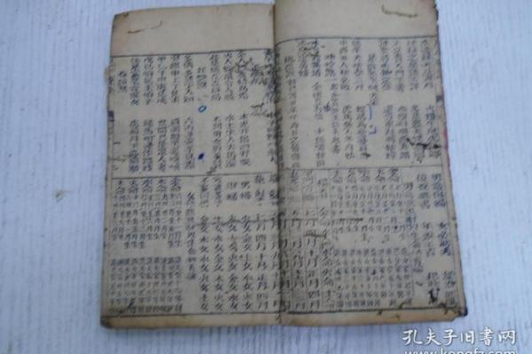 具子息不孤之命：生命中的伴随与关怀
