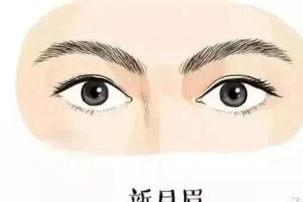 眉毛稀少，命运潜藏：揭秘眉毛少的人的运势与人生轨迹