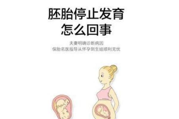 没在家里生的孩子，命运与成长的隐秘关联