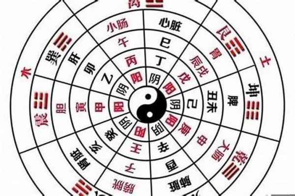 揭秘女命八字全阴格的意义与运势解析
