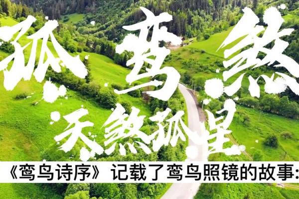 男命中的孤鸾星与爱情命理的微妙关系探秘