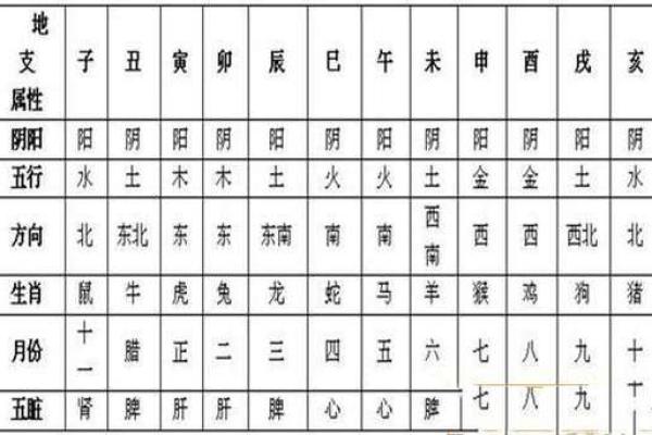 了解地支命理：透视五行与命运的神秘联系