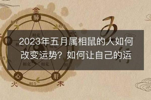 揭示男命离婚运势的关键因素，解读命理背后的真相！