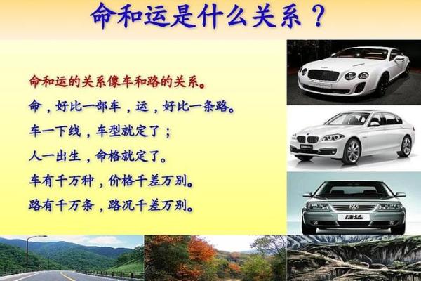 妈妈的命运如何影响女儿的未来：命理与人生的交织