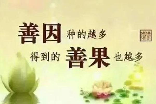 空房命的真相与化解之道：探寻命理中的居住智慧